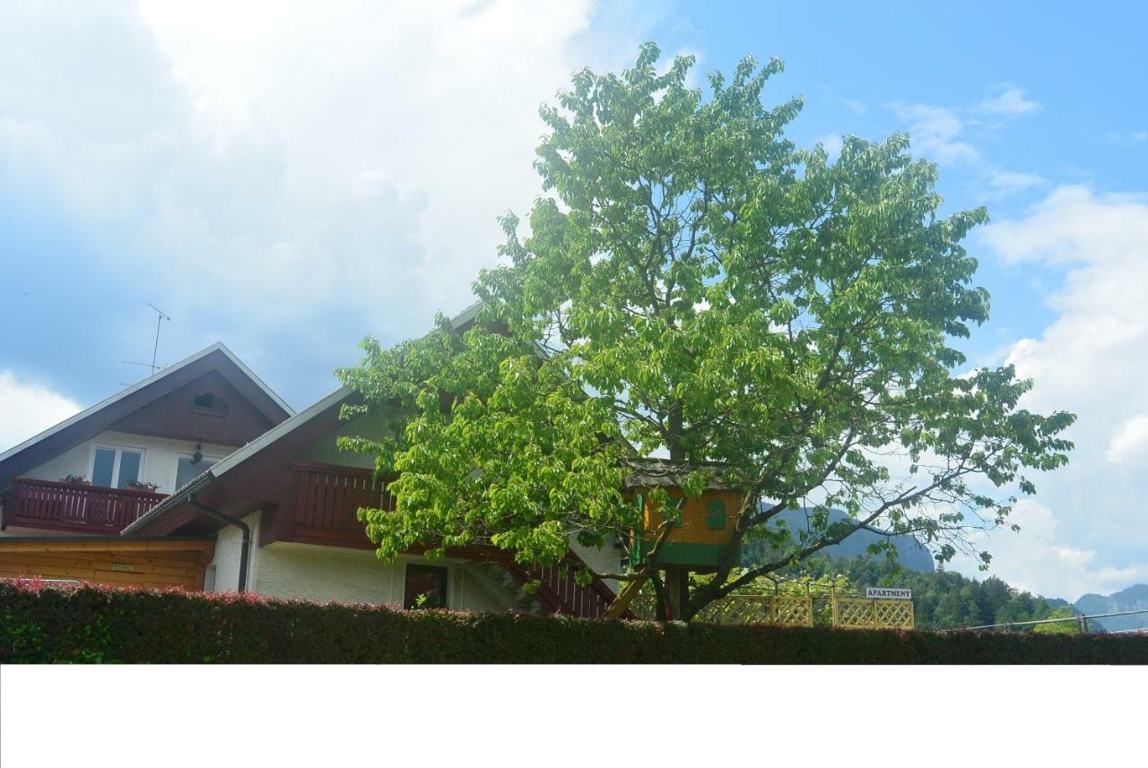 Apartments 1A Ribno - Bled Exterior foto